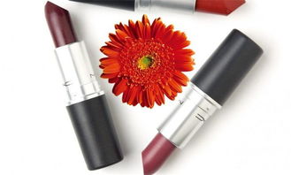 博成化妝品 產品展示與店鋪裝修的系統化計算機解決方案